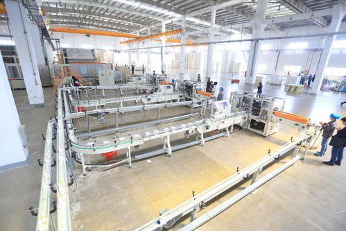 喊出 便宜有好貨 口號,拼多多的底氣在哪兒